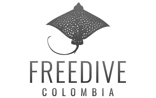 FREEDIVE COLOMBIA