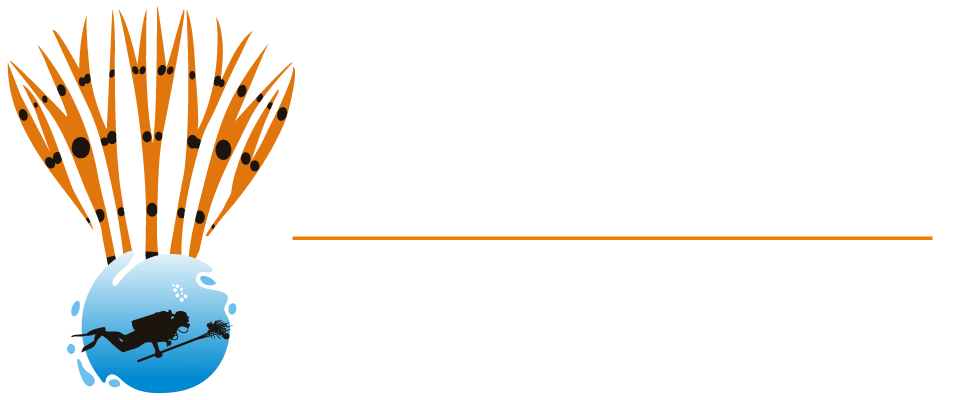 Lion Fish