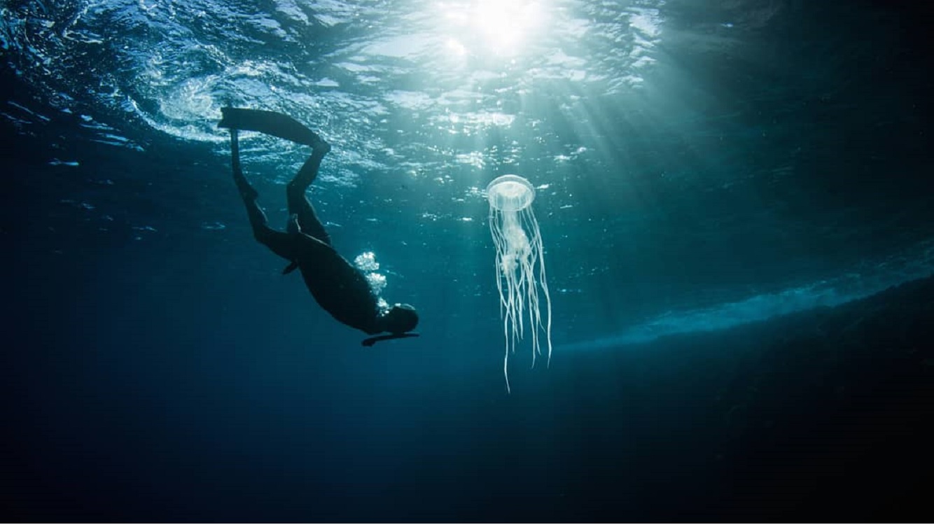 Cristian Castaño, Fundador Freedive Colombia