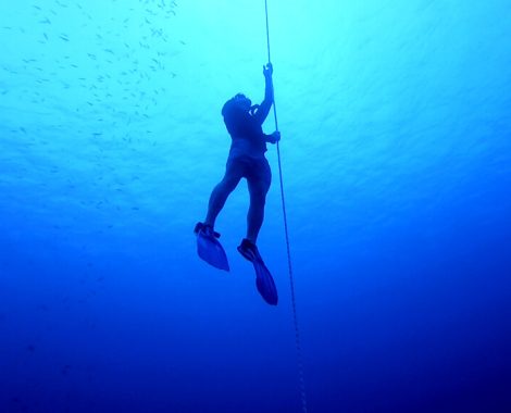 freedive colombia 17