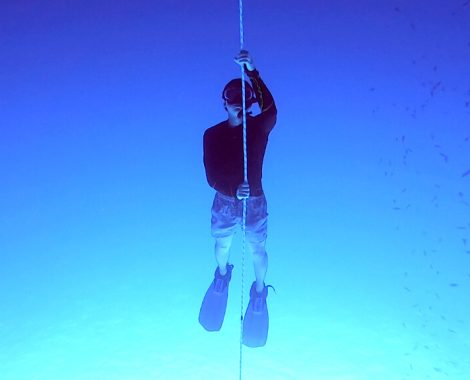 freedive colombia 18